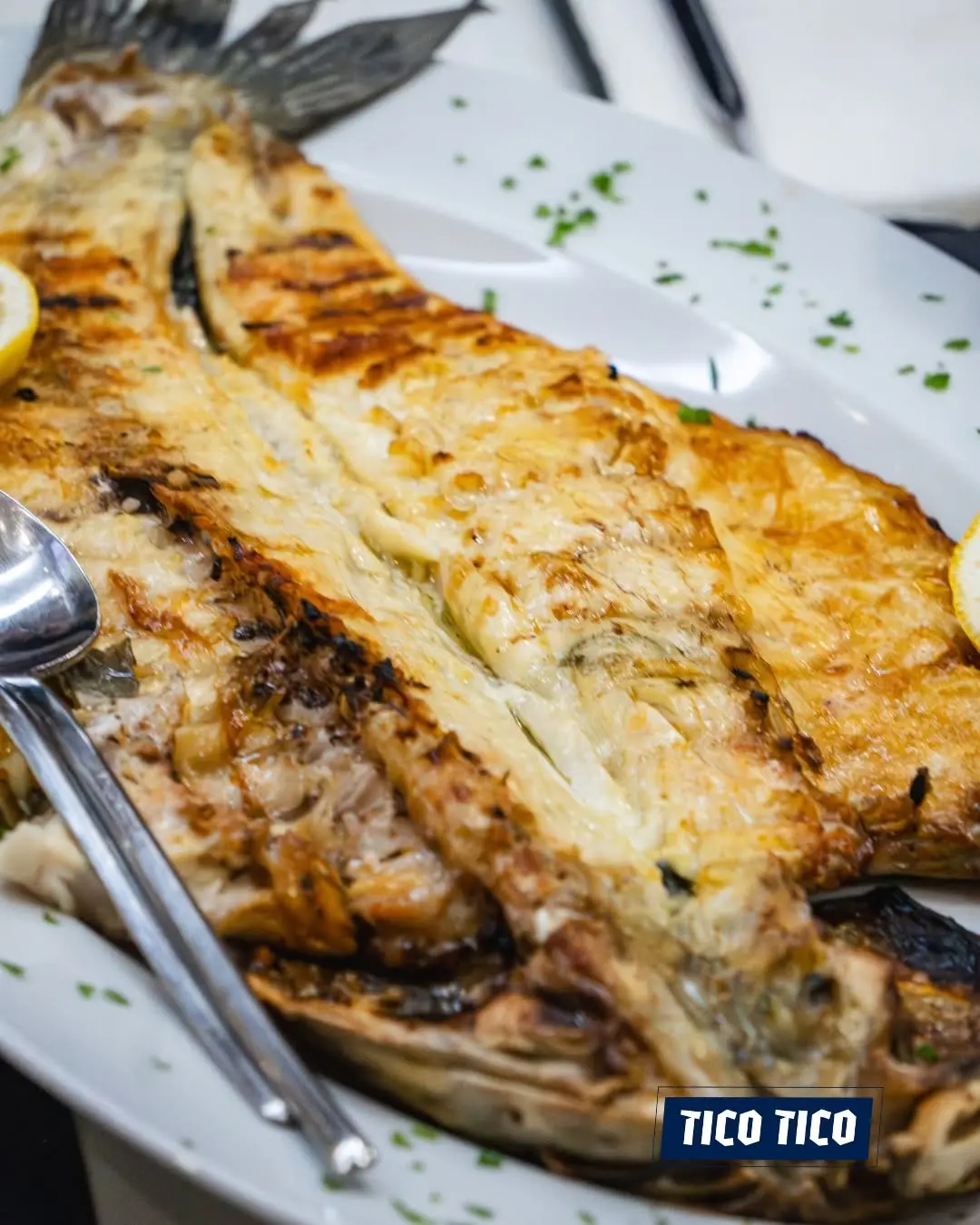 Peixe Grelhado Tico Tico